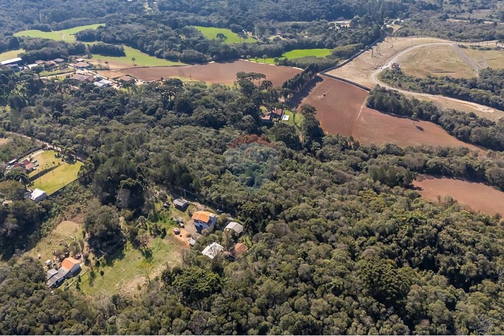 Terreno - Venda - Campo Largo , Paraná - DJI_20250818141632_0050_D_1.jpg - 560461009-53