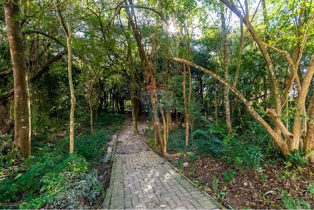 Apartamento - Alugar - Curitiba , Paraná - ProfPedroVPdeSouza-73.jpg - 560311047-543