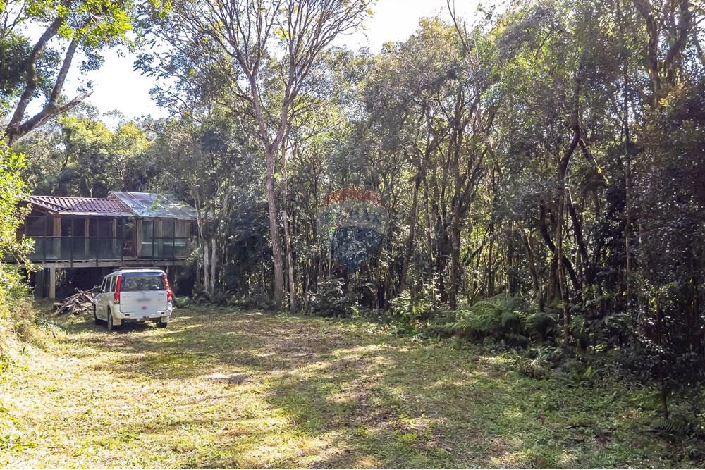 Chácara / Sítio / Fazenda - Venda - Piraquara , Paraná - DJI_0463_1_1.jpg - 560431012-39