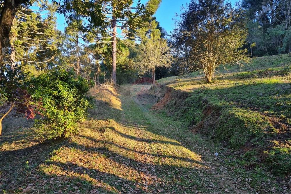 Chácara / Sítio / Fazenda - Venda - Mandirituba , Paraná - 94816d76-8e3c-4b2d-a68e-906bca6254c6.jpeg - 560391051-7
