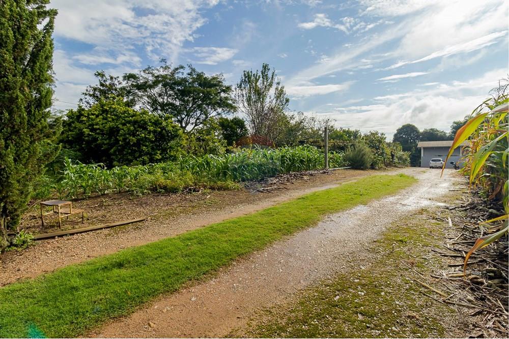 Chácara / Sítio / Fazenda - Alugar - Fazenda Rio Grande , Paraná - IMG_9391.jpg - 560391075-16