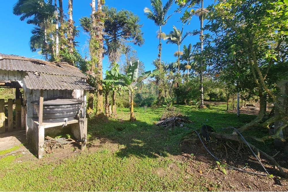 Chácara / Sítio / Fazenda - Venda - Antonina , Paraná - 1c4adaae-ac68-428b-b96b-fdd1b2e73c57.jpeg - 560391051-9