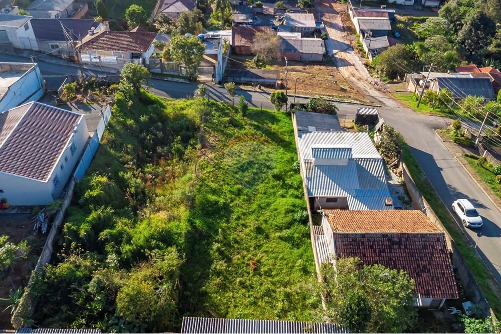 Terreno - Venda - Campo Largo , Paraná - DJI_0732_1.jpg - 560411008-81