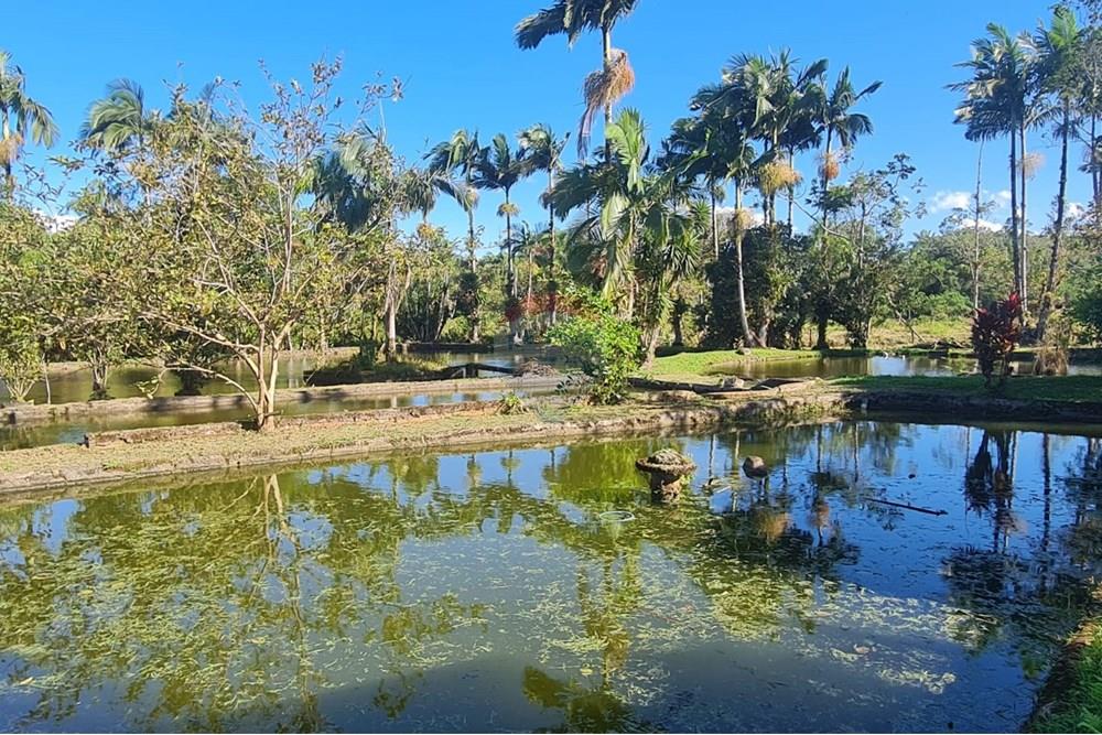 Chácara / Sítio / Fazenda - Venda - Antonina , Paraná - 01316844-406e-41fe-baf4-0685b4a9a153.jpeg - 560391051-9