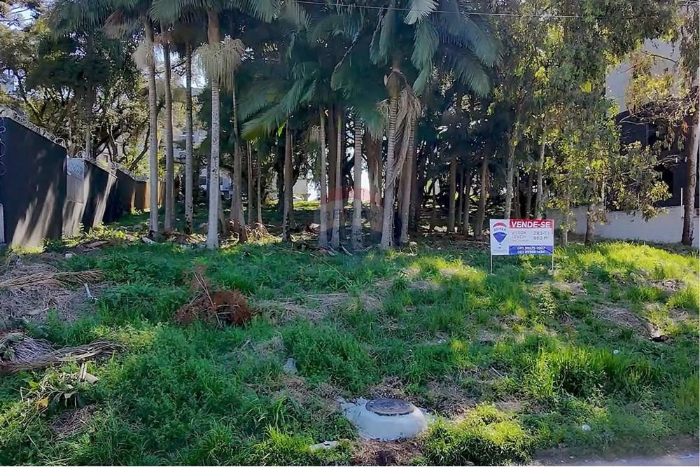 Terreno - Venda - Curitiba , Paraná - 04  fotos cic.jpg - 560321058-101