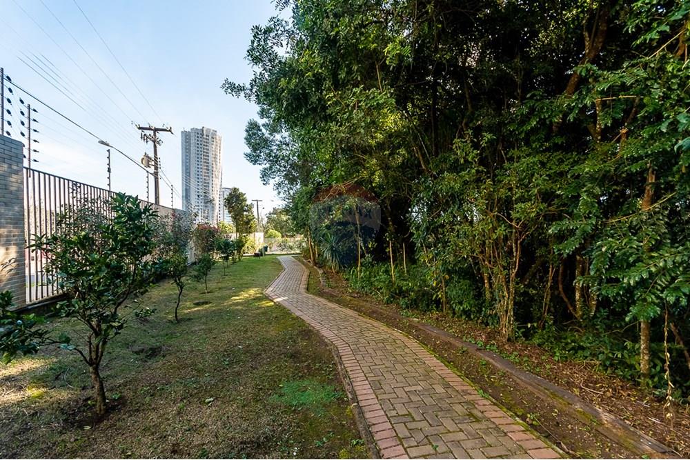 Apartamento - Alugar - Curitiba , Paraná - ProfPedroVPdeSouza-80.jpg - 560311047-543