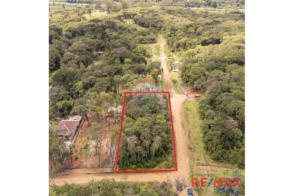Terreno - Venda - São José dos Pinhais , Paraná - 5 - 560251029-43