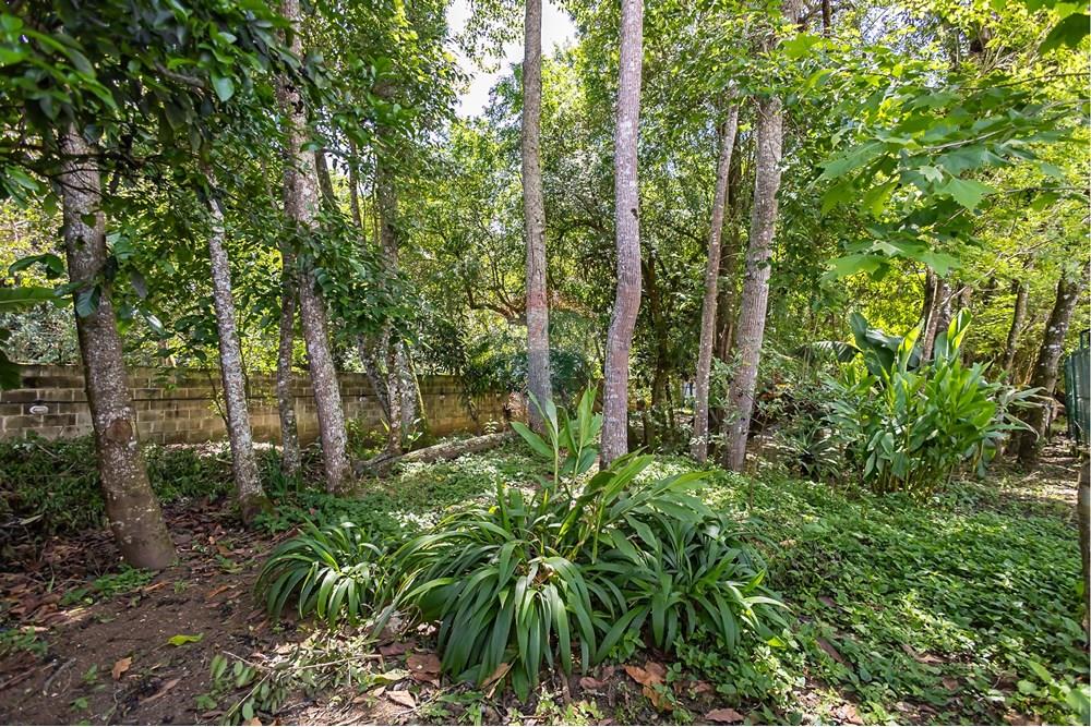 Sobrado - Venda - Curitiba , Paraná - IMG_0823.jpg - 560341120-58