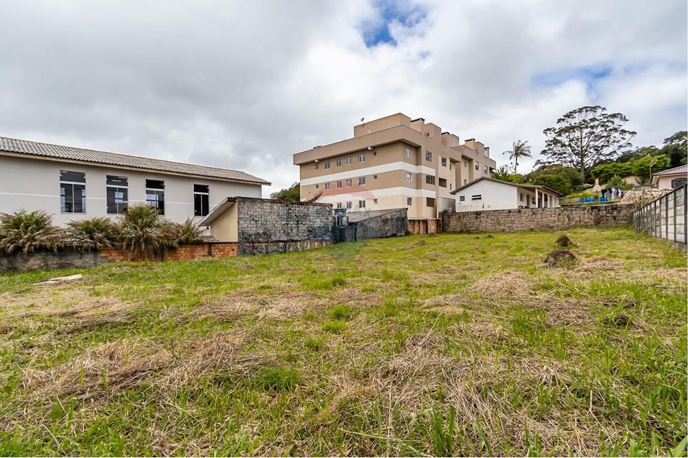 Terreno - Venda - Quatro Barras , Paraná - IMG_9741.jpg - 560411029-21