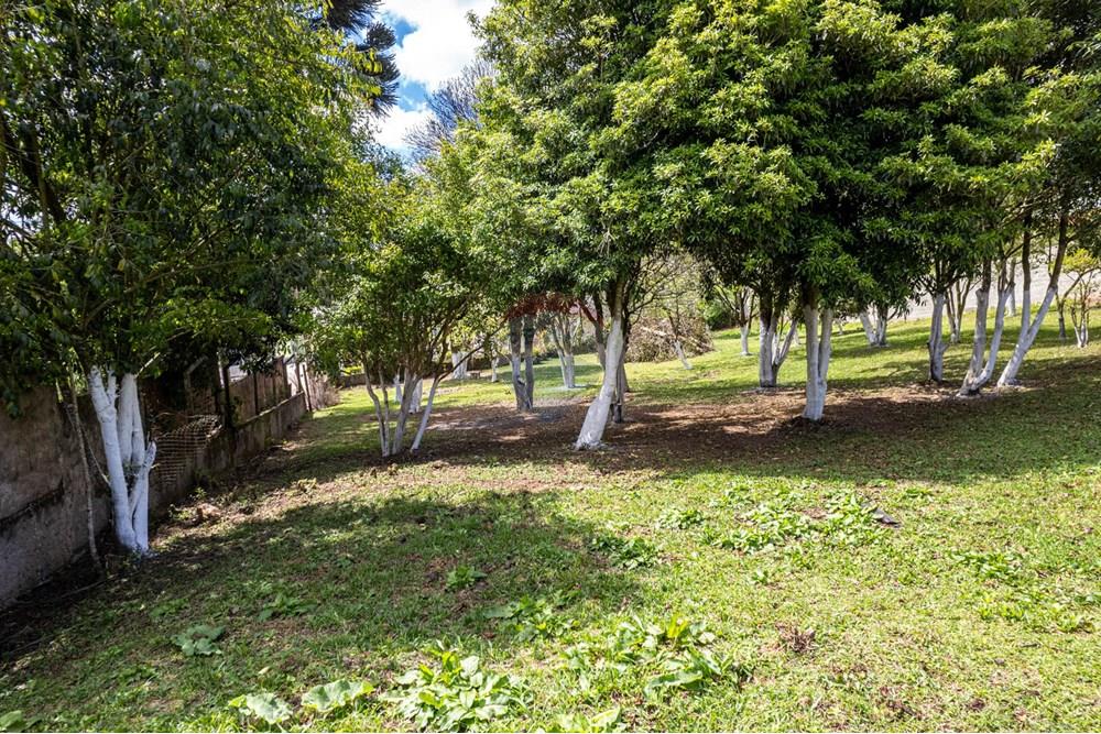 Terreno - Venda - Campo Largo , Paraná - DJI_0833.jpg - 560391078-61