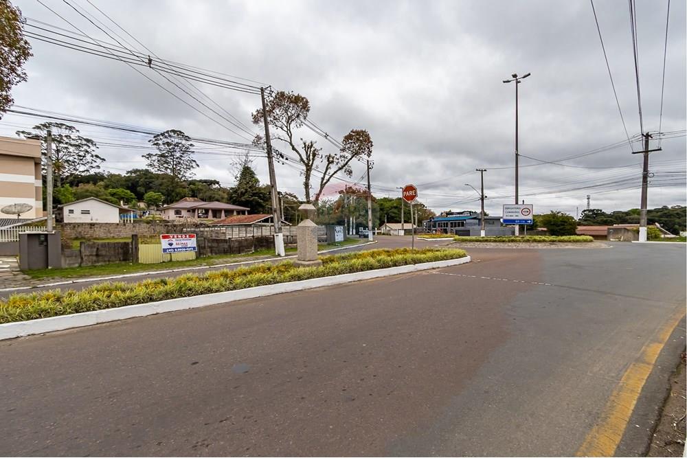Terreno - Venda - Quatro Barras , Paraná - IMG_9744.jpg - 560411029-21