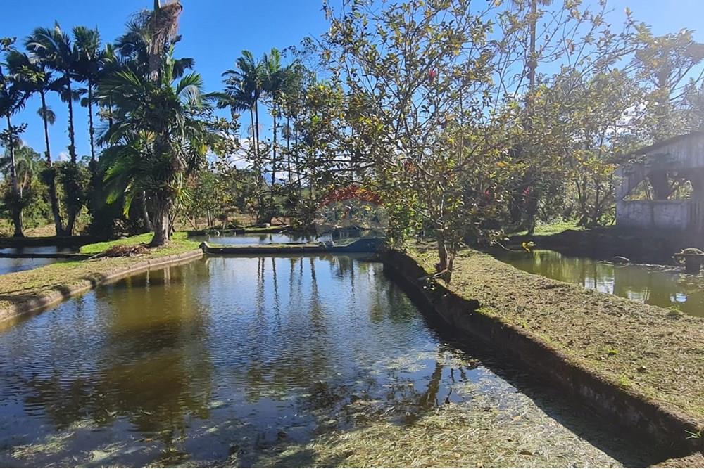 Chácara / Sítio / Fazenda - Venda - Antonina , Paraná - 0ed50042-48a7-43e1-bdc3-731f265edda7.jpeg - 560391051-9