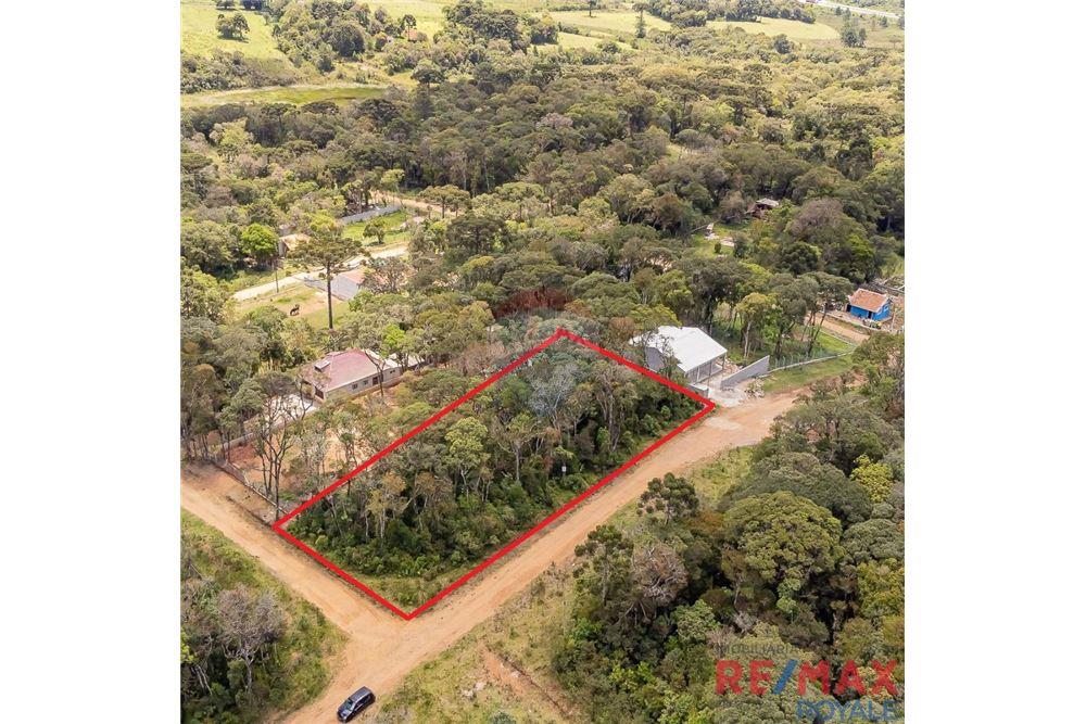 Terreno - Venda - São José dos Pinhais , Paraná - 4 - 560251029-43