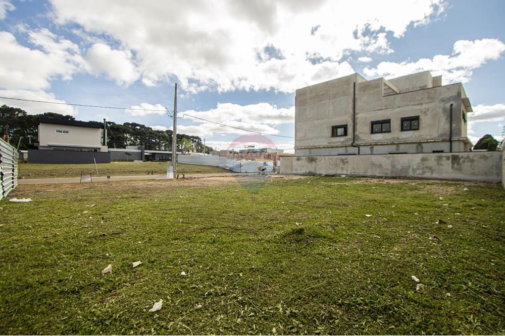 Terreno - Venda - São José dos Pinhais , Paraná - IMG_0270.jpg - 560411070-66