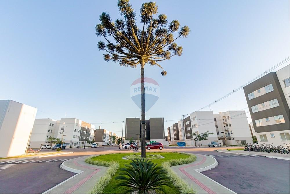 Apartamento - Venda - Campo Largo , Paraná - db78fa95-4142-46b3-a764-bf009b957ff3.jpeg - 560411032-62