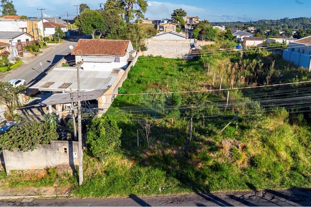 Terreno - Venda - Campo Largo , Paraná - DJI_0738_1.jpg - 560411008-81