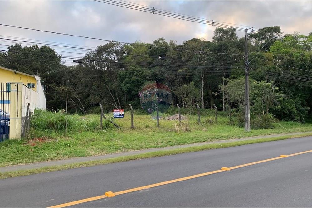 Terreno - Venda - Curitiba , Paraná - 18.jpg - 560461019-13
