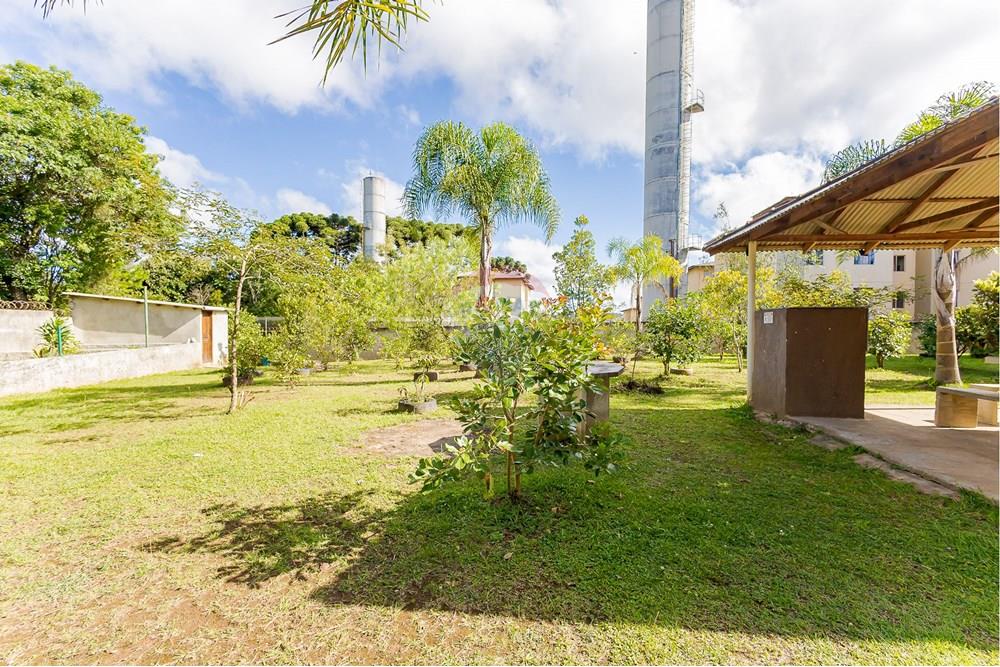 Apartamento - Venda - Curitiba , Paraná - IMG_0194.jpg - 560351054-176