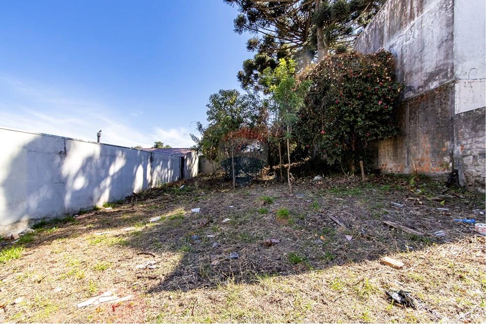 Terreno - Venda - Curitiba , Paraná - IMG_7329_1.jpg - 560341040-20