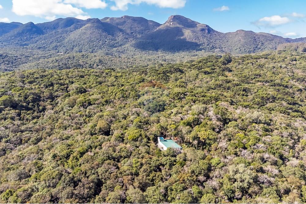 Chácara / Sítio / Fazenda - Venda - Piraquara , Paraná - DJI_0508_1.jpg - 560431012-39