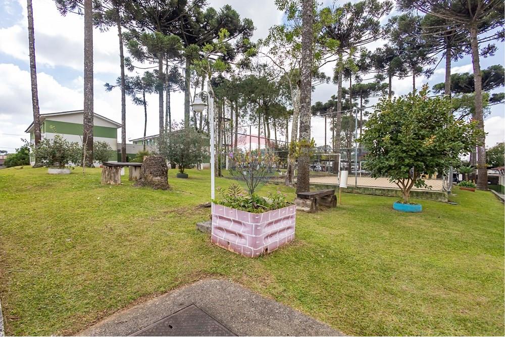 Apartamento - Venda - Curitiba , Paraná - IMG_4214_1.jpg - 560311063-10