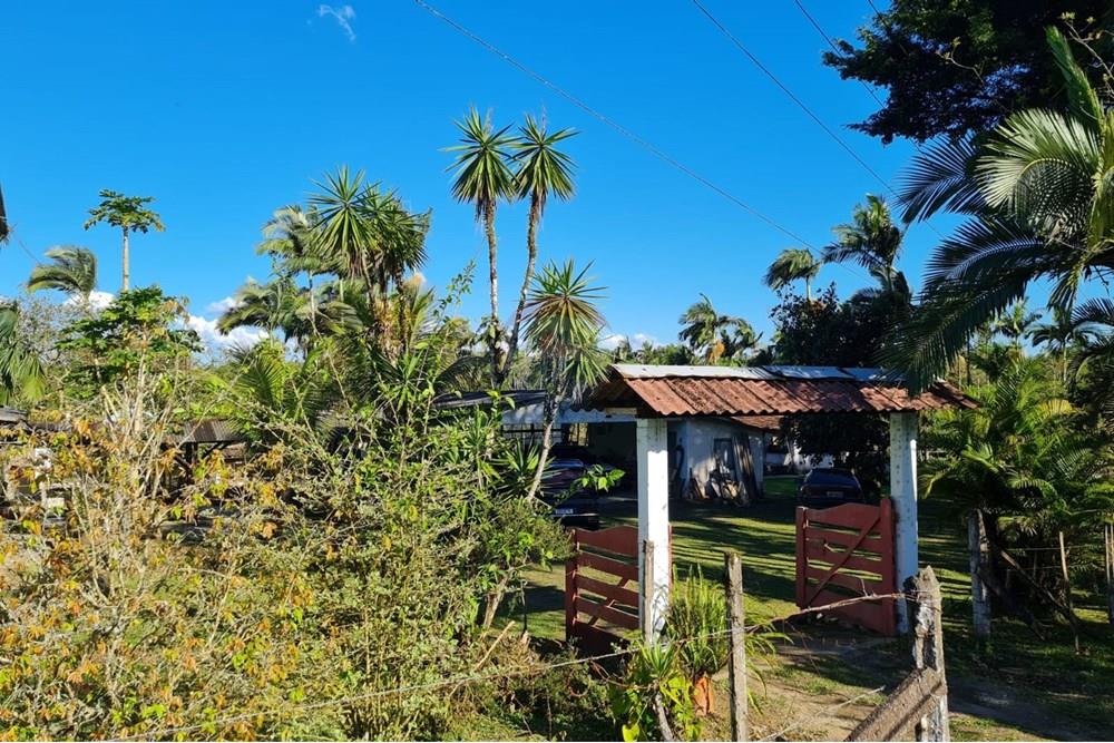Chácara / Sítio / Fazenda - Venda - Antonina , Paraná - 173d5984-7506-402e-8f77-5cb5859889f3 (1).jpeg - 560391051-9