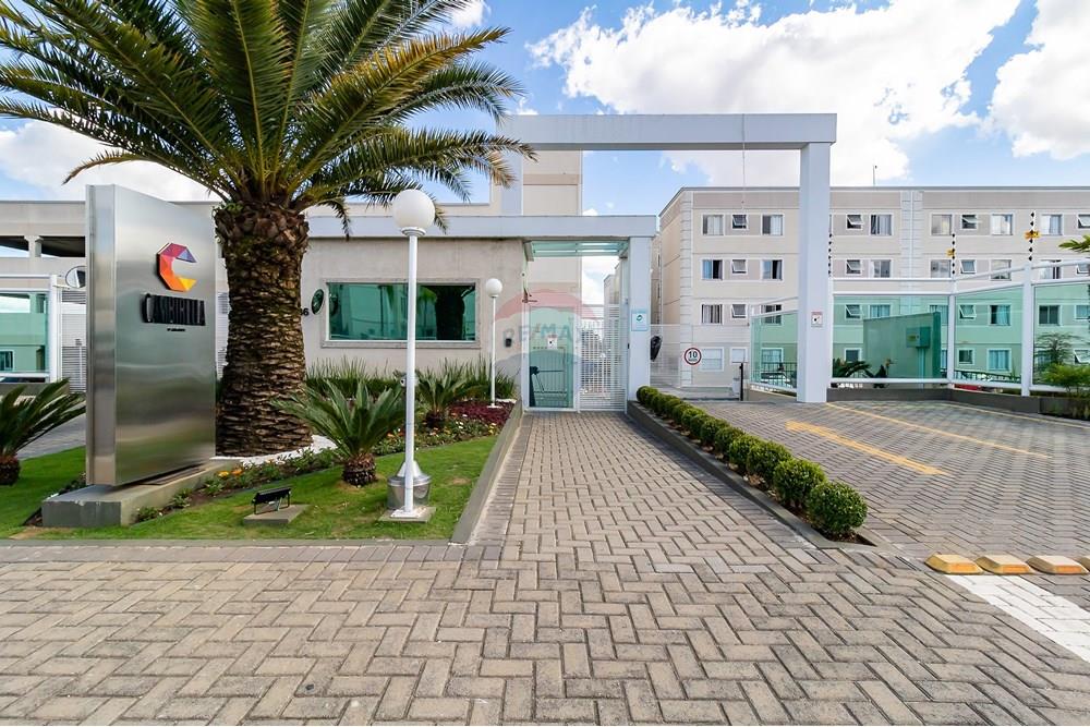 Apartamento - Alugar - Curitiba , Paraná - 19.jpg - 560251018-269