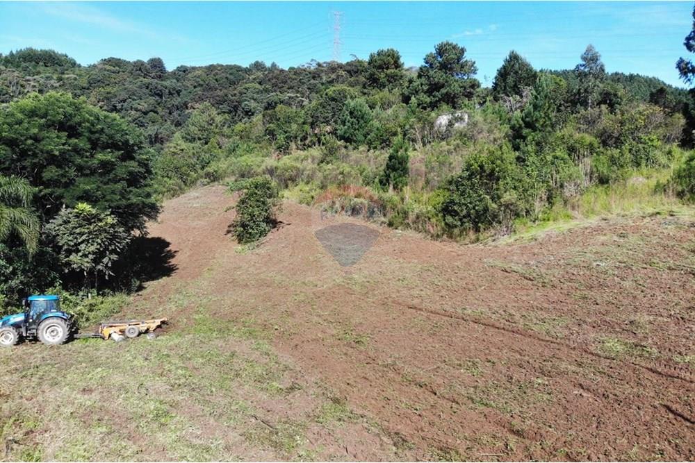 Chácara / Sítio / Fazenda - Venda - Campo Magro , Paraná - WhatsApp Image 2025-04-09 at 19.11.19.jpeg - 560351106-18