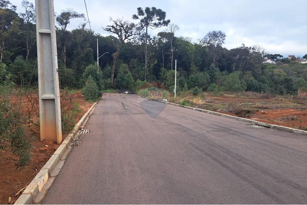 Terreno - Venda - Fazenda Rio Grande , Paraná - WhatsApp Image 2025-08-29 at 19.18.48.jpeg - 560441032-9