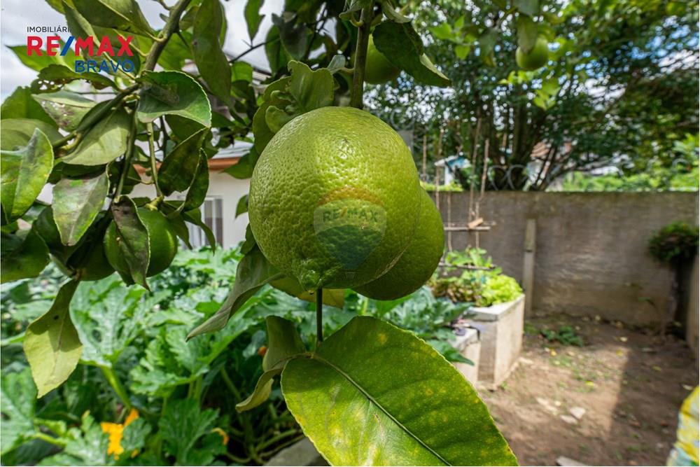Casa Comercial - Venda - Curitiba , Paraná - _DSC5790.jpg - 560371015-49