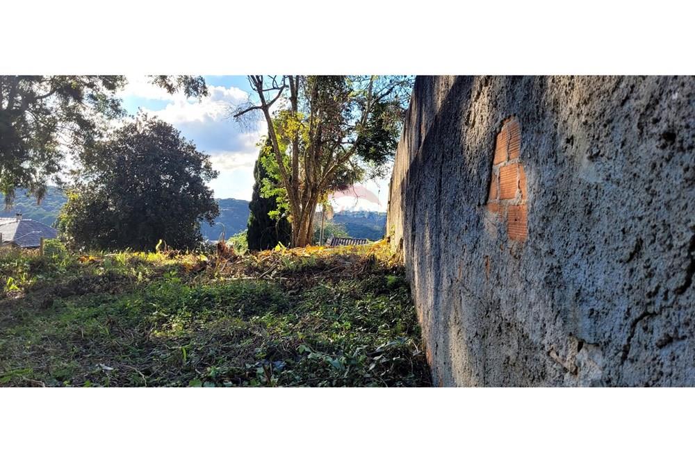 Terreno - Venda - Curitiba , Paraná - foto 7.jpg - 560251041-53