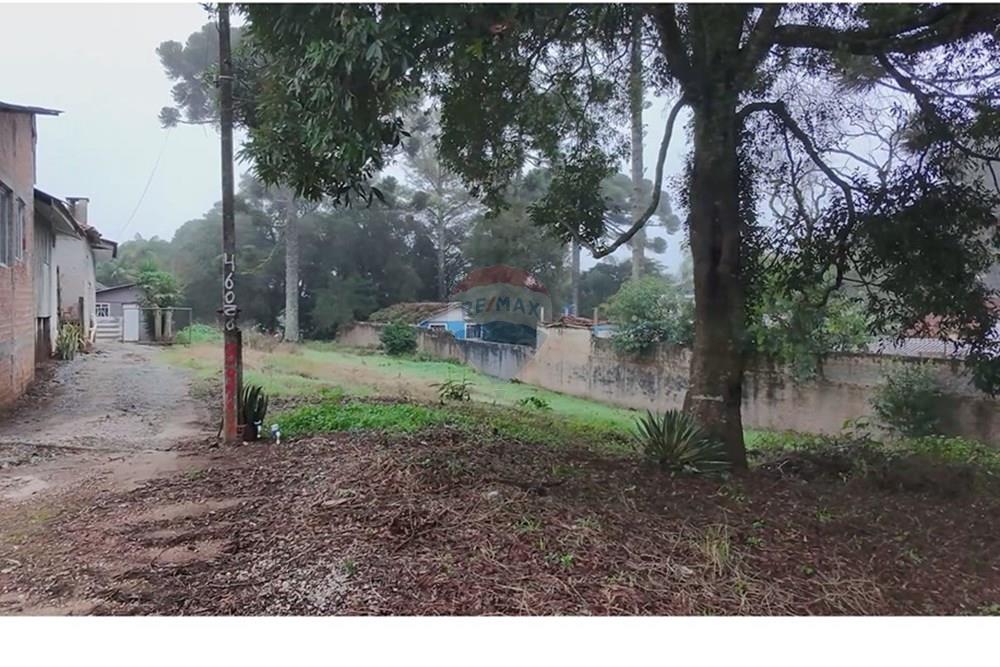 Terreno - Venda - Curitiba , Paraná - IMG-20250615-WA0007.jpg - 560321151-6