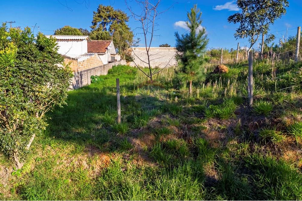 Terreno - Venda - Campo Largo , Paraná - DJI_0757_1.jpg - 560411008-81