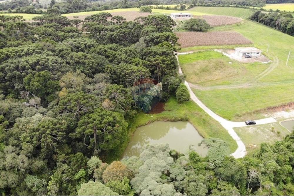 Terreno - Venda - São José dos Pinhais , Paraná - WhatsApp Image 2025-03-22 at 22.01.46 (4).jpeg - 560351069-39