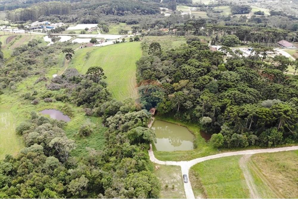 Terreno - Venda - São José dos Pinhais , Paraná - WhatsApp Image 2025-03-22 at 22.01.46 (5).jpeg - 560351069-39