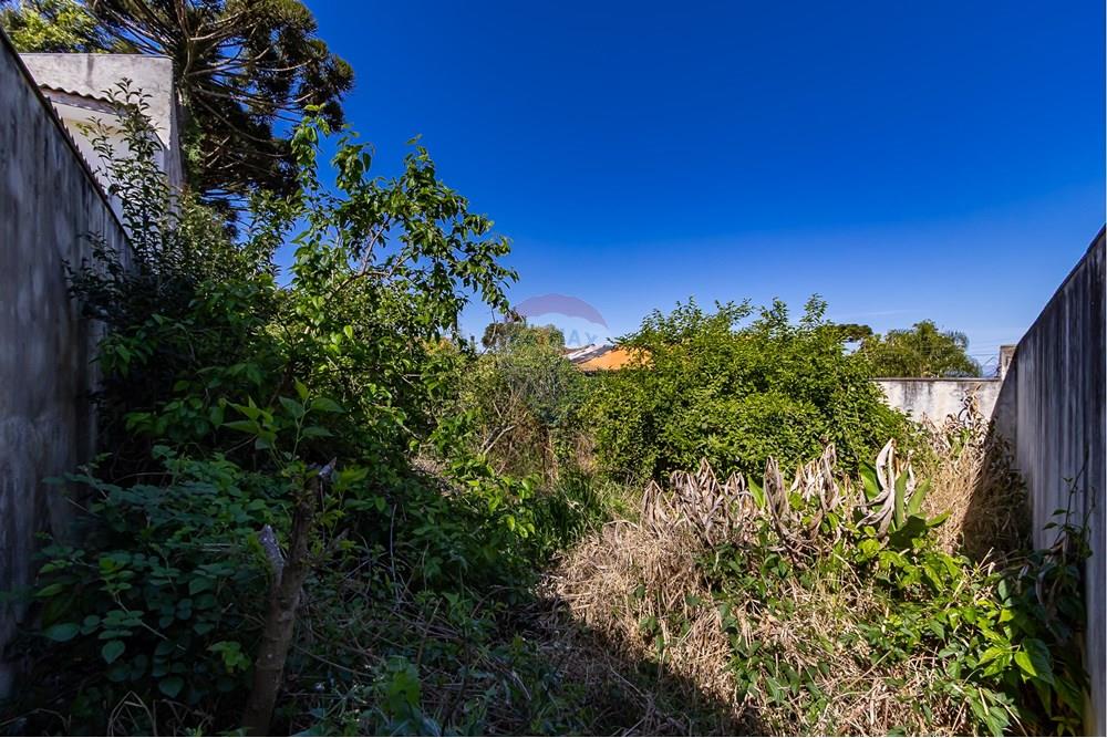 Terreno - Venda - Curitiba , Paraná - IMG_7339.jpg - 560341040-21