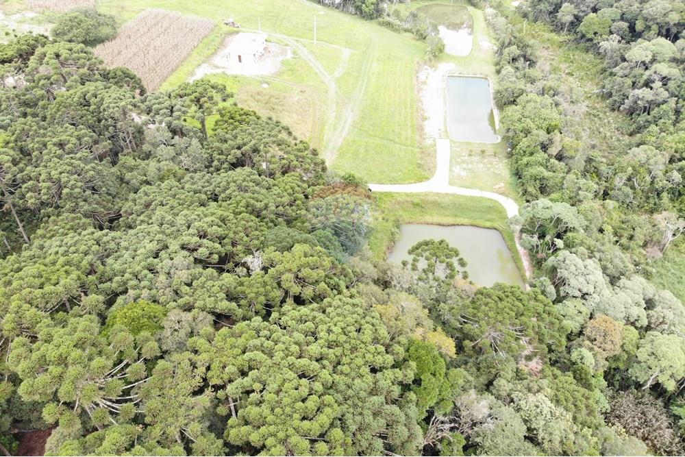 Terreno - Venda - São José dos Pinhais , Paraná - DJI_0648.JPG - 560351069-39