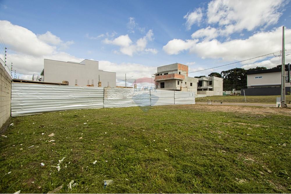 Terreno - Venda - São José dos Pinhais , Paraná - IMG_0272.jpg - 560411070-66