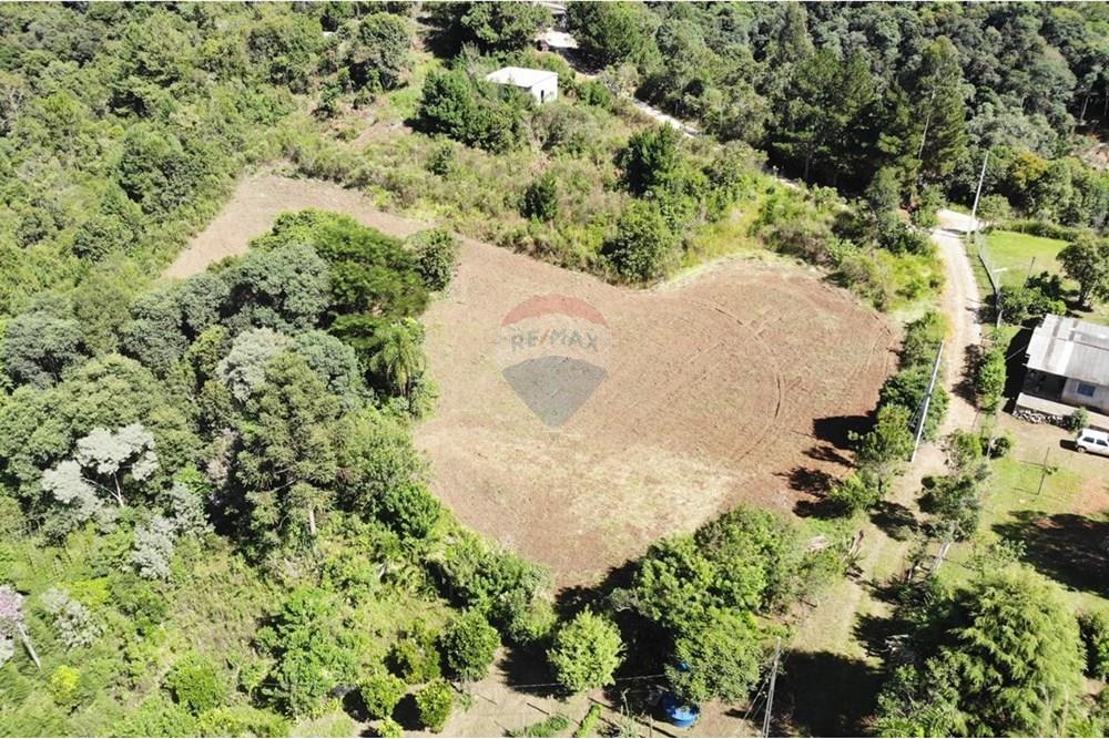 Chácara / Sítio / Fazenda - Venda - Campo Magro , Paraná - WhatsApp Image 2025-04-09 at 19.11.21 (1).jpeg - 560351106-18