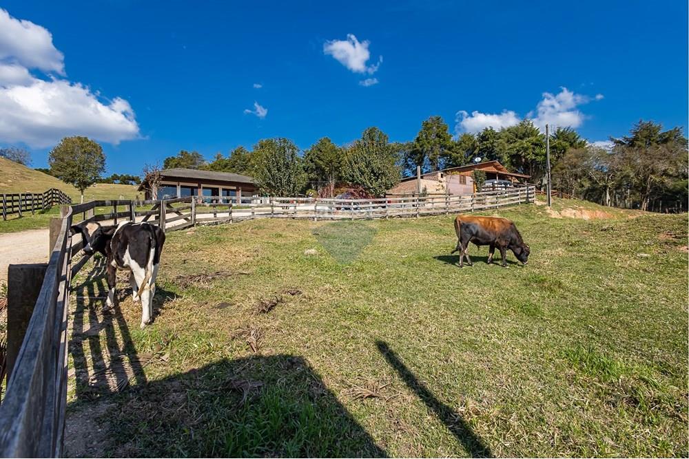 Chácara / Sítio / Fazenda - Venda - Campo Largo , Paraná - F (9).jpg - 560351150-1