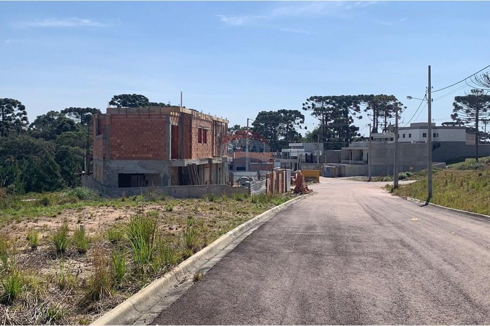 Terreno - Venda - Quatro Barras , Paraná - 12.jpg - 560461019-10