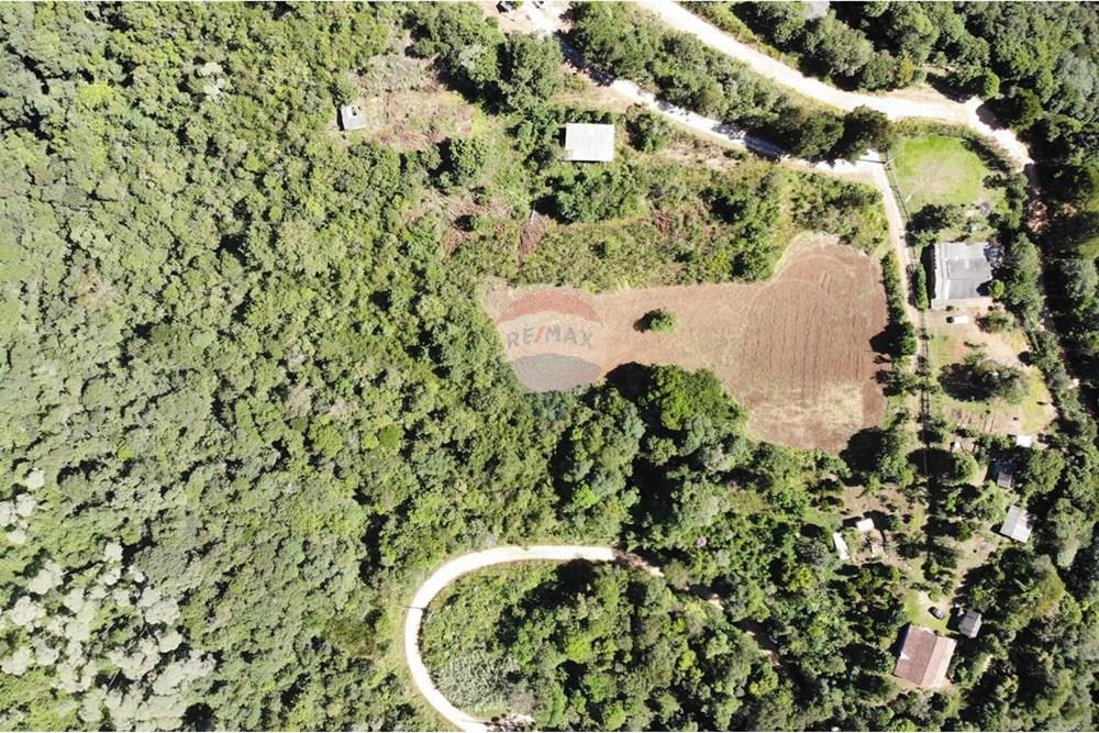 Chácara / Sítio / Fazenda - Venda - Campo Magro , Paraná - WhatsApp Image 2025-04-09 at 19.11.23.jpeg - 560351106-18