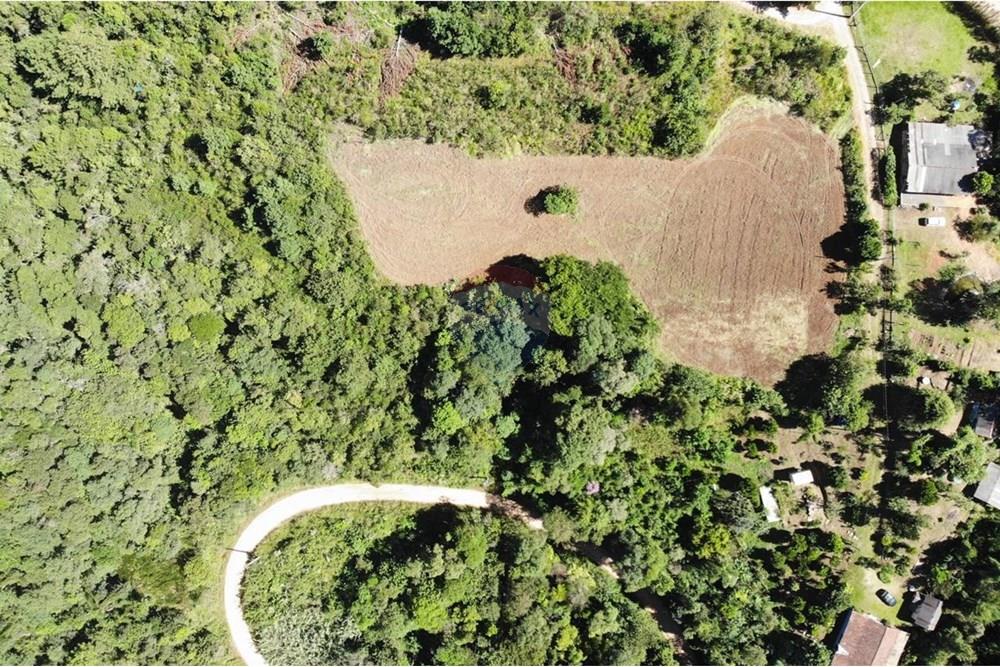 Chácara / Sítio / Fazenda - Venda - Campo Magro , Paraná - WhatsApp Image 2025-04-09 at 19.11.26 (1).jpeg - 560351106-18