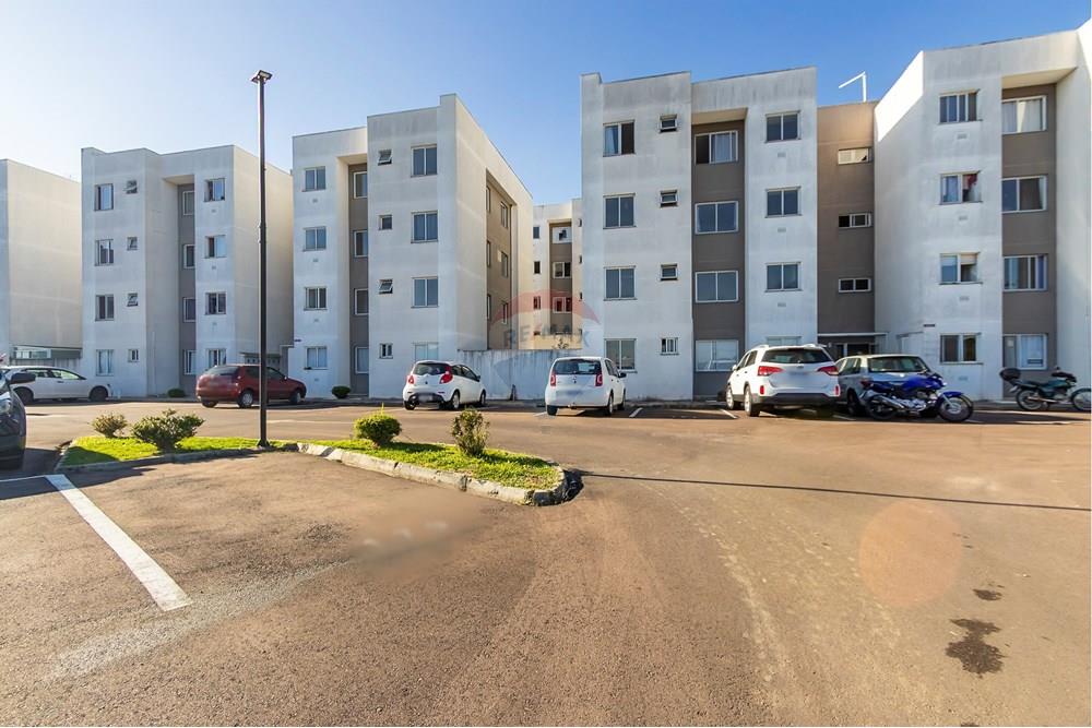 Apartamento - Venda - São José dos Pinhais , Paraná - IMG_2427_1.jpg - 560431004-33