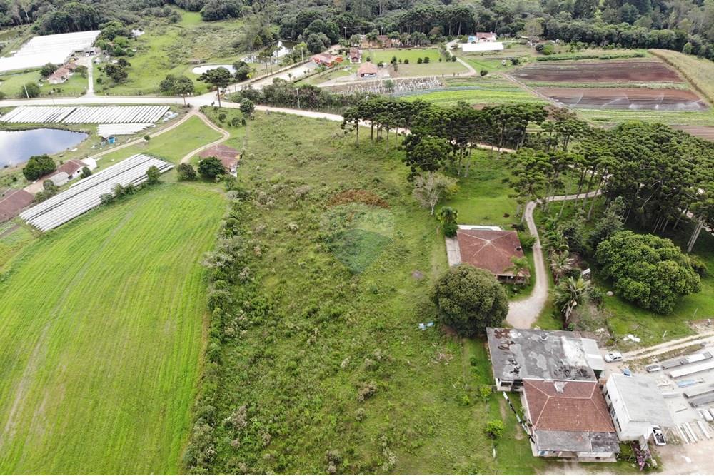 Terreno - Venda - São José dos Pinhais , Paraná - DJI_0626.JPG - 560351069-39