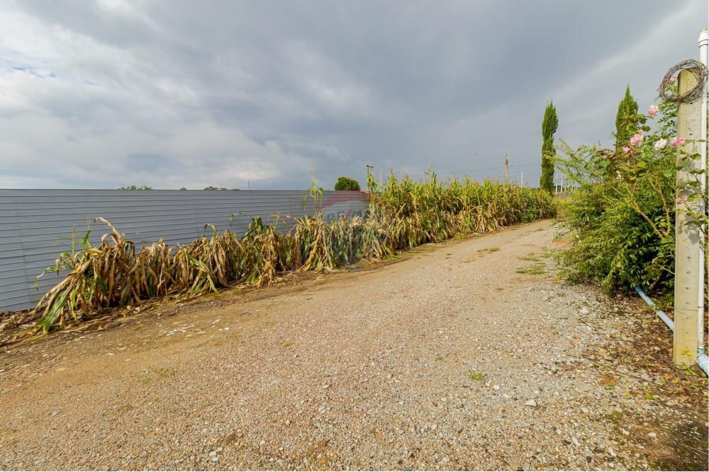 Chácara / Sítio / Fazenda - Alugar - Fazenda Rio Grande , Paraná - IMG_9382.jpg - 560391075-16