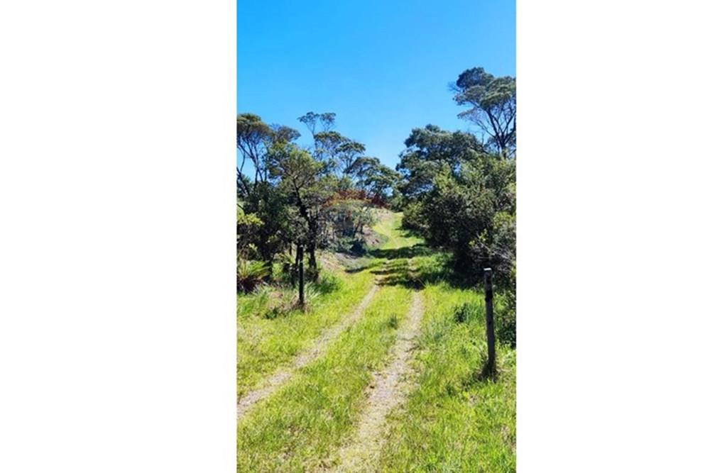 Chácara / Sítio / Fazenda - Venda - São José dos Pinhais , Paraná - 71.jpeg - 560331080-8