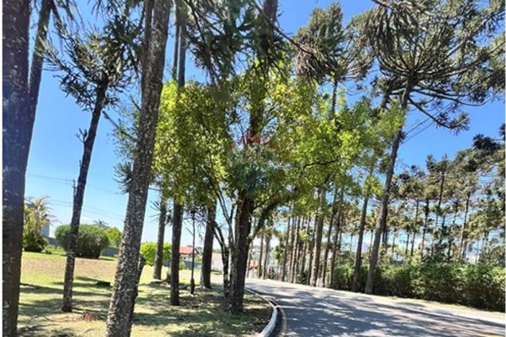 Sobrado - Venda - Pinhais , Paraná - Imagem do WhatsApp de 2025-10-14 à(s) 14.08.56_cf26e53c.jpg - 560391054-21