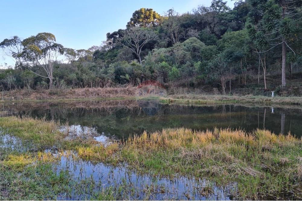 Chácara / Sítio / Fazenda - Venda - Mandirituba , Paraná - a2ed6020-1169-4d6b-b92d-4d7e6951443f.jpeg - 560391051-7