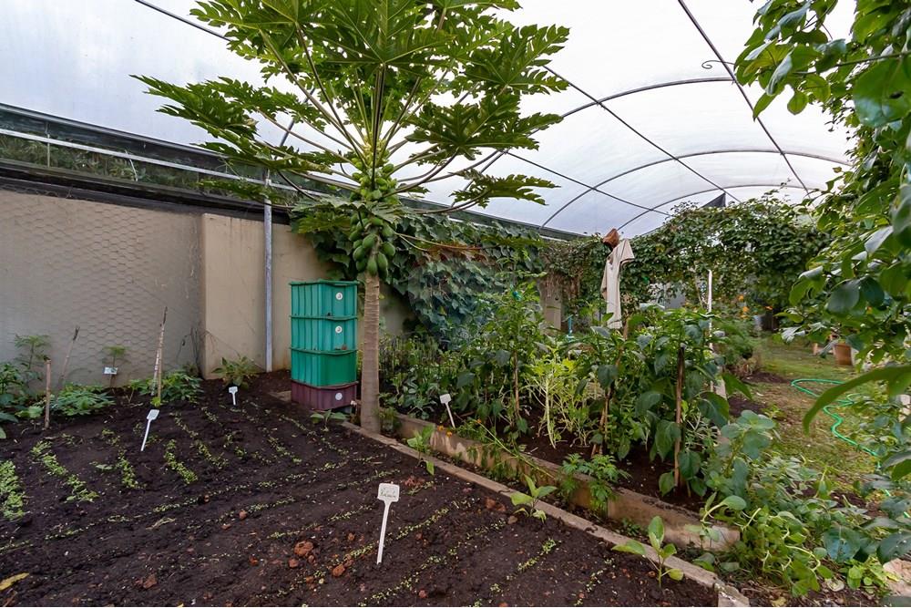 Cobertura - Venda - Curitiba , Paraná - IMG_6661.jpg - 560311060-20